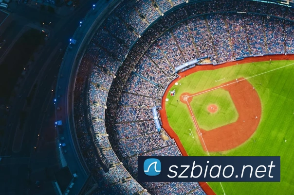 App Interface Preview