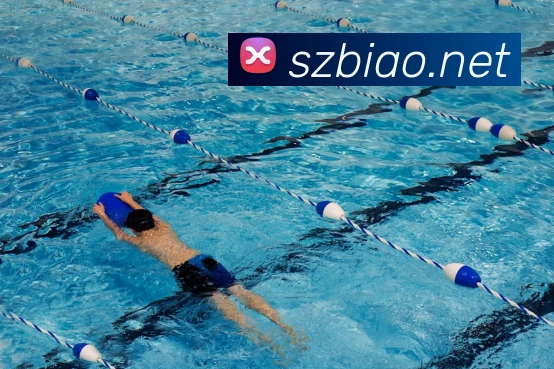 开云在线官网登录appAPP 封面图